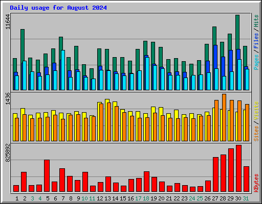 Daily usage for August 2024