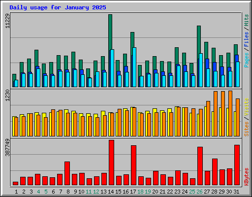 Daily usage for January 2025