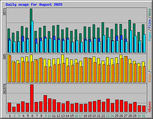 Daily usage for August 2025