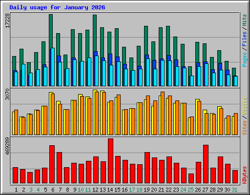 Daily usage for January 2026