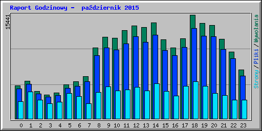 Raport Godzinowy -  padziernik 2015