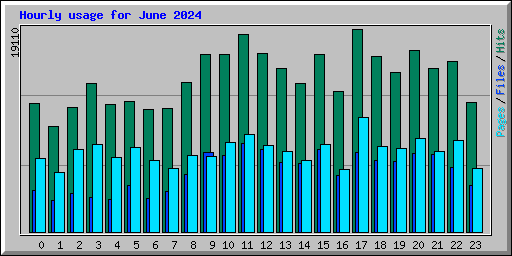 Hourly usage for June 2024
