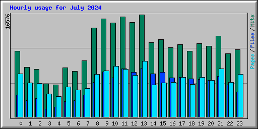 Hourly usage for July 2024