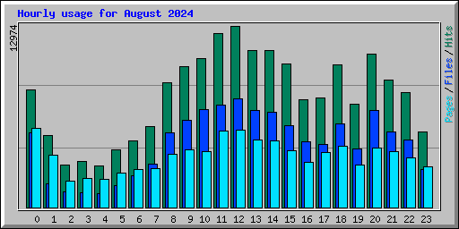 Hourly usage for August 2024