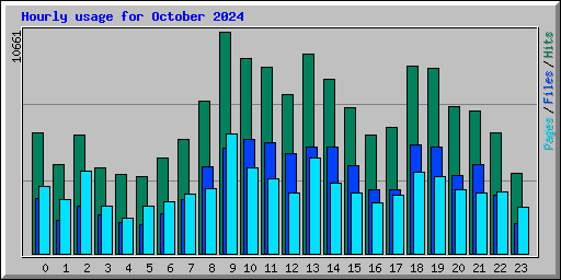Hourly usage for October 2024