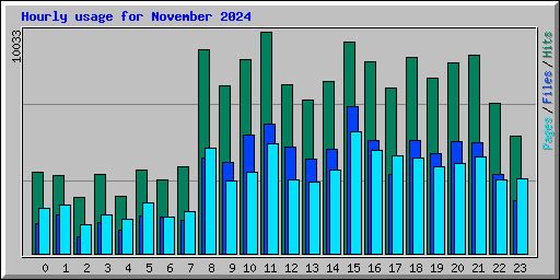 Hourly usage for November 2024