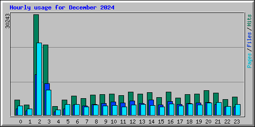 Hourly usage for December 2024