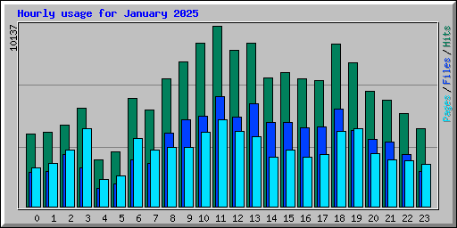 Hourly usage for January 2025