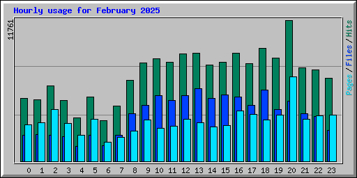 Hourly usage for February 2025