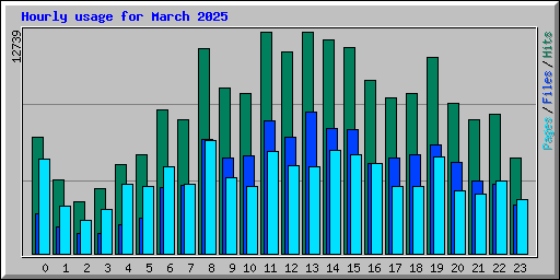 Hourly usage for March 2025