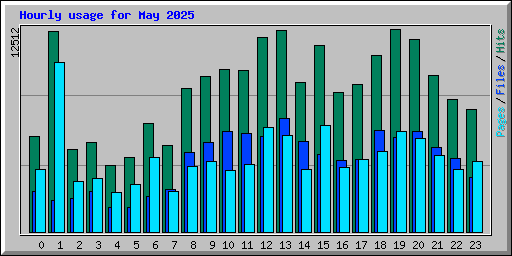 Hourly usage for May 2025