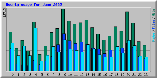 Hourly usage for June 2025