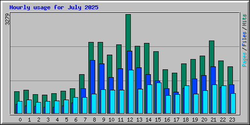 Hourly usage for July 2025