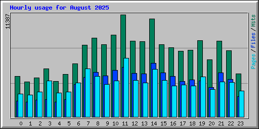 Hourly usage for August 2025