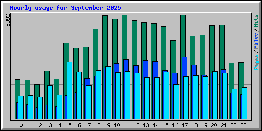 Hourly usage for September 2025