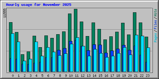 Hourly usage for November 2025
