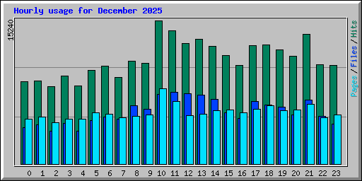Hourly usage for December 2025