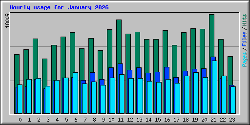 Hourly usage for January 2026