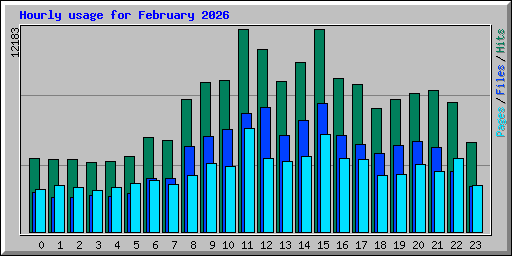 Hourly usage for February 2026