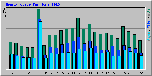 Hourly usage for June 2026